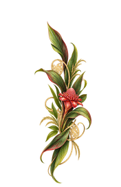 Ornaments